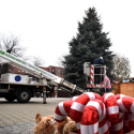 Fenyőfaállítás a Szabadság téren