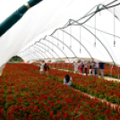 Kovács Zoltánra emlékeztek Csemőben