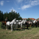 IX. Bor és Laskafesztivál - IV. Ceglédi Vágta