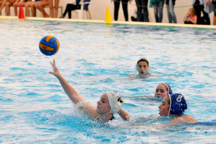 Ceglédi Vasutas Sport Egyesület - HVSC (Hódmezővásárhely) 11 - 6