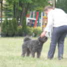 IX. Bor és Laskafesztivál - IV. Ceglédi Vágta