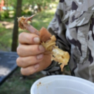 Virágvásár és főzőfesztivál Csemőben