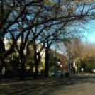 Halló Cegléd - Rákóczi út