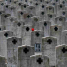 MAFOSZ kiállítás képei