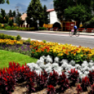 Kovács Zoltánra emlékeztek Csemőben