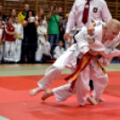 Judo Kupa Cegléden