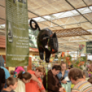 Családi tökfaragás - Oázis Kertészeti Áruház