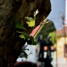 Városalapítók napja