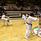 Jótékonysági gála