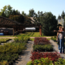 Színpompás bemutató