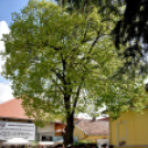 Tavaszi kézműves kiállítás és vásár