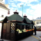 A város májusfája