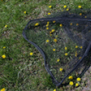 Éhmann Ferenc Emlék Kupa