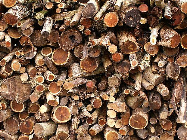 A tűzifaárusok 3 legjellemzőbb trükkje