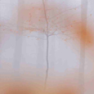 MAFOSZ kiállítás képei