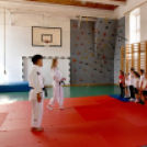 Karate a testnevelésórán