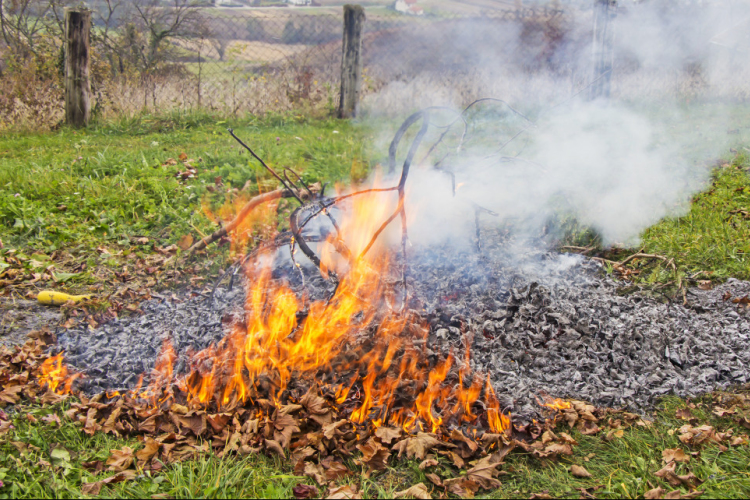 Átmenetileg lehet avart égetni