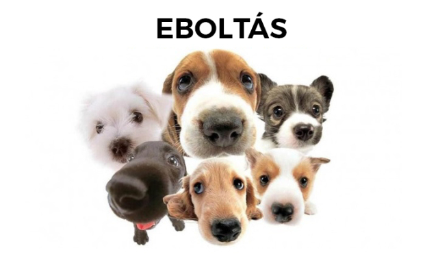 Eboltás