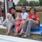 Bor és laskafesztivál - II