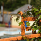 Városi Strand - Akkor és Most