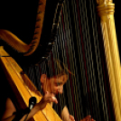 Múzeumok éjszakája 