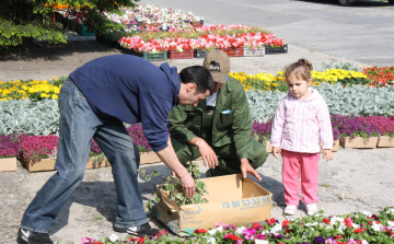 Virágokkal, szebb Ceglédért