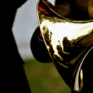 Ünnepeltek a vadászok