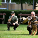 Honvédelmi napot tartottak a Mezgázban