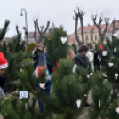 Karácsonyfa díszítő verseny