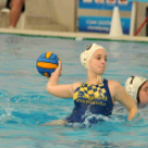 Ceglédi Vasutas Sport Egyesület - HVSC (Hódmezővásárhely) 11 - 6