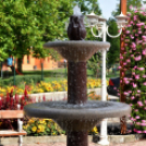 A növénynemesítő nyomában