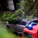 VIHAR UTÁN A MÚZEUM UTCÁBAN