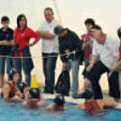 Ceglèdi Vasutas Sport Egyesület - Győri Vízisport Egyesület  15 - 9