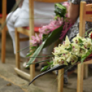 Semmelweis nap Cegléden