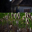 Etűd a Gerje partról