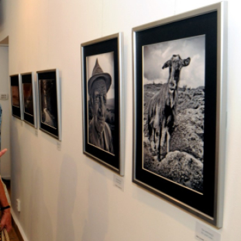 Kiállított a Ceglédi Fotóklub