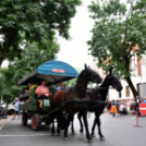 Múzeumok Éjszakája