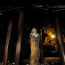 A Szabadság fájánál emlékeztek