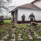 Hartyányi Norbert - Fácán vadászat