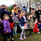 Elefántok érkeztek a Vörösmarty térre