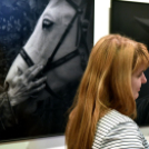 Papp Elek kiállítás a Ceglédi Galériában