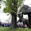 Elefántok érkeztek a Vörösmarty térre