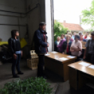 Szebb, virágosabb Ceglédért