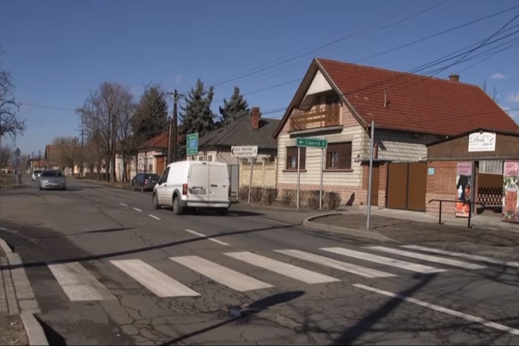 Déli úti zebra - Még nem hivatalos gyalogátkelőhely