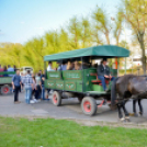 Szerenádoztak a gimisek