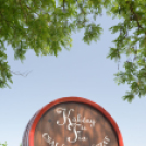 Nyitott Pince Napok - Kökény és Fia Családi Borászat