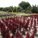 Kováts Zoltán Emlékülés Csemőben