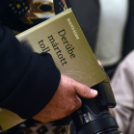 Derűbe mártott toll