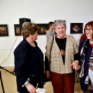 Felfüggesztett pillantásaim - Baán Katalin kiállítása Dabason 