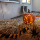 Az idén is tök jó volt…